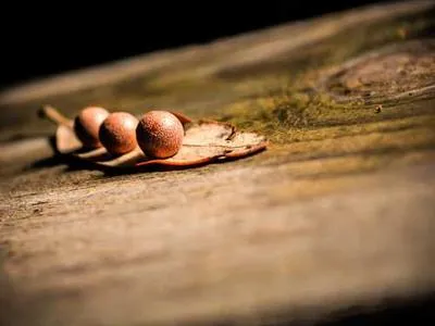 Test for booking settings